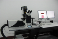 Leica SP5 激光共聚焦显微镜