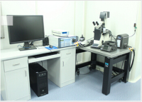 生物型原子力显微镜（AFM）