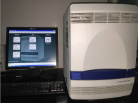 荧光定量PCR仪（7500 Fast）
