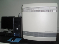 荧光定量PCR仪（ABI 7900）