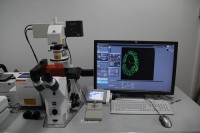 Zeiss正置激光共聚焦显微镜LSM780