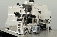 N-SIM 超分辨率显微镜