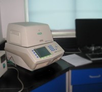 实时荧光定量PCR仪Bio-Rad CFX96 Touch